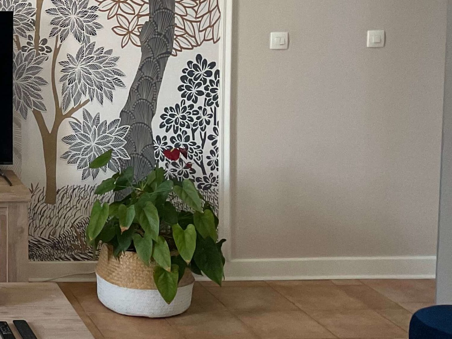 Zoom sur les moulures et les surplinthes blanches - Concept Déco LV - Décoratrice d'intérieur à Caen